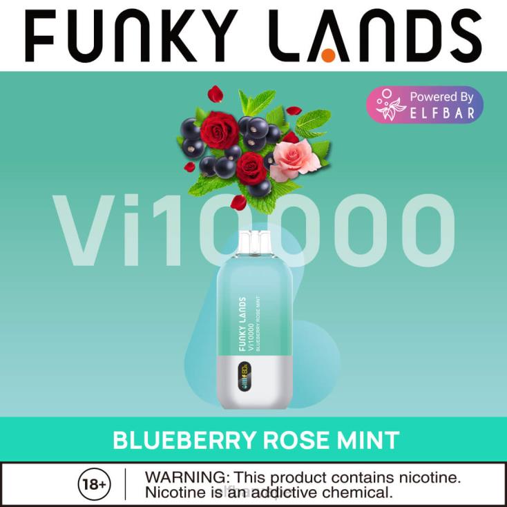 ELFBAR SOUTH AFRICA PRICE | 8TJRH465 ELFBAR Funky Lands Disposable Vape Vi10000 Puffs Blueberry Rose Mint